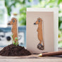 Geburtstagskarte „Eins“ – Saatstecker aus Pappe mit Wildblumensamen