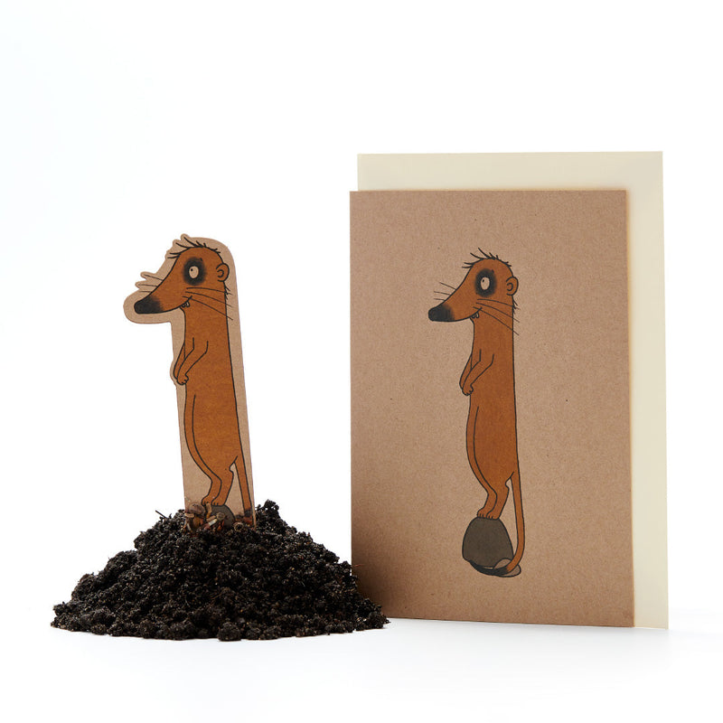 Geburtstagskarte „Eins“ – Saatstecker aus Pappe mit Wildblumensamen — Ansicht 2