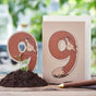 Geburtstagskarte „Neun“ – Saatstecker aus Pappe mit Saatgut