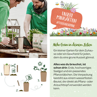 Anzuchtset – Minigarten Zitronenmelisse