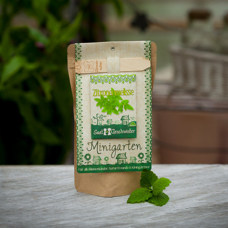 Lemon Balm Mini Garden Grow Kit – Die Stadtgärtner — Die Stadtgärtner