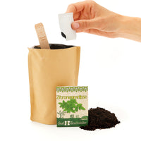 Lemon Balm Mini Garden Grow Kit – Die Stadtgärtner — Ansicht 2