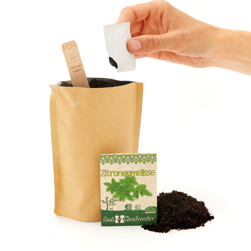 Lemon Balm Mini Garden Grow Kit – Die Stadtgärtner — Ansicht 2