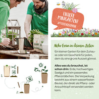 Satan's Garden Seed Kit – Mini-garden with native wild herbs — Ansicht 3