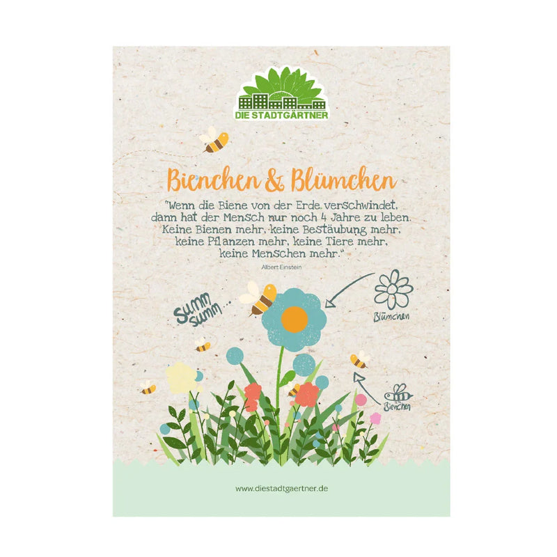 Herb box "Blossoms & Bees" – 6 bee magnets | Set cards | Wooden box 50×40×30 cm — Ansicht 2