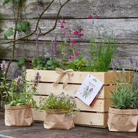 "Blossom Kitchen" Herb Box - 6 edible flowering plants in a wooden box — Ansicht 1
