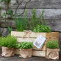 Herb box "Herb Classics" – 6 Kitchen Classics | Set Cards | Wooden box 50×40×30 cm