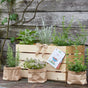Herb Box "BBQ Time" – 6 BBQ Herbs in Wooden Crate with Set Cards