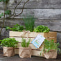 Herb Crate "Salad Happiness" – 7 Fresh Herbs & Seasoning Plants in Wooden Box