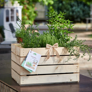 Kräuterkiste „Kräuterbalkon“ – 6 Sorten | Stadtgarten-Set | Handgepflanzt