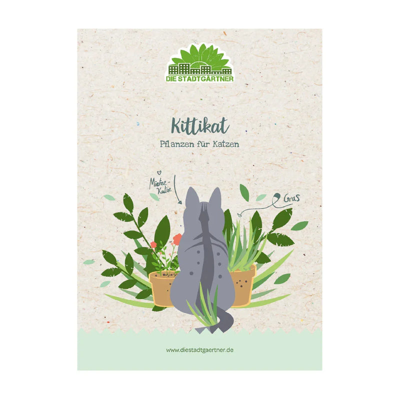 Herb box "Kittikat" - 6 cat plants hand-planted in wooden box — Ansicht 2