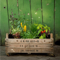 Rollendes Hochbeet aus Zwiebelsieben – Upcycling, 100 l, mobil auf Rollen — Ansicht 1