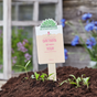 Seed greeting card "Gardening is my Yoga" – colourful wildflower mix