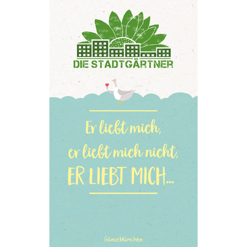 Saatgruß „Er liebt mich“ – Gänseblümchen-Samen zum Wahrsagen — Ansicht 2