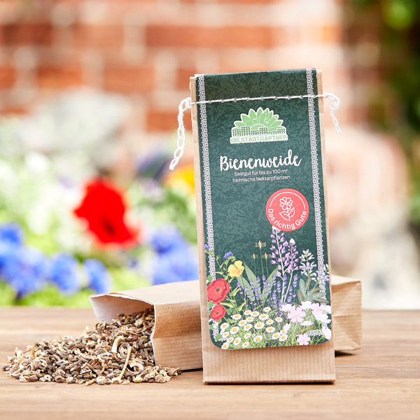 100 g Bee Pasture Seeds – over 25 native wildflowers & herbs