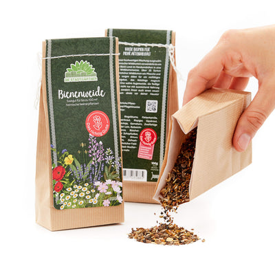 100 g Bee Pasture Seeds – over 25 native wildflowers & herbs