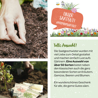 100 g Wildkräuter-Saatgut
