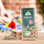 100 g Wild Herb Seeds – Over 25 Native Varieties
