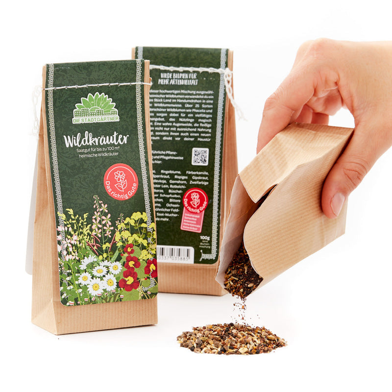 100 g Wild Herb Seeds – Over 25 Native Varieties — Ansicht 2
