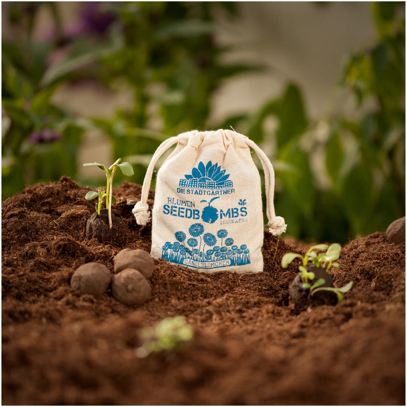 Daisy Seed Bombs in Jute Bag – Die Stadtgärtner — Die Stadtgärtner
