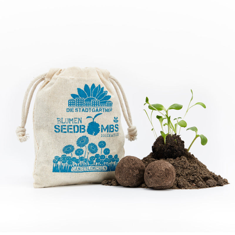 Daisy Seed Bombs in Jute Bag – Die Stadtgärtner — Ansicht 2
