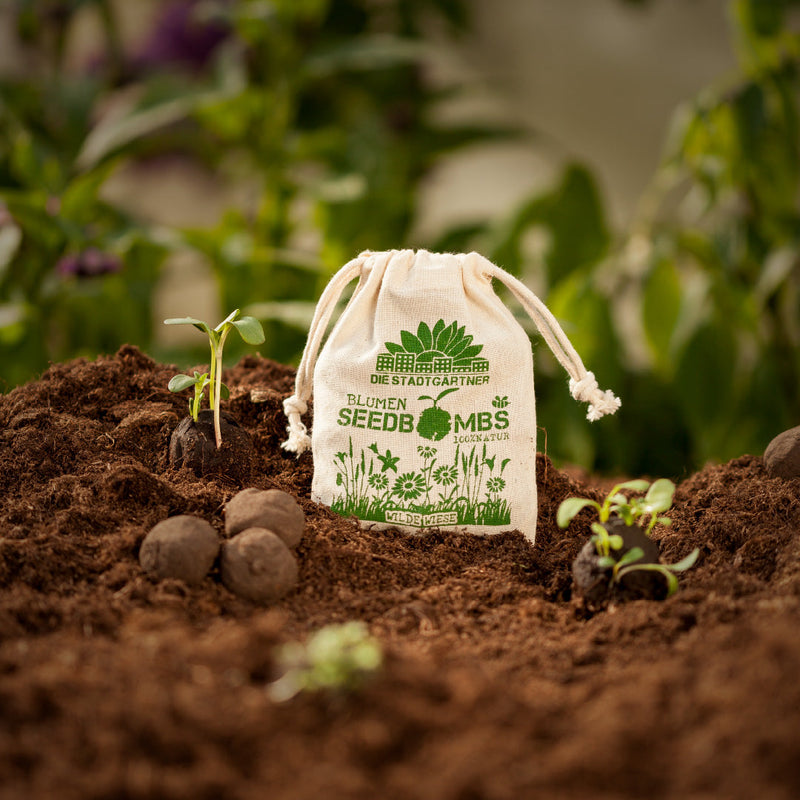 Seed bombs "Wild Meadow" in a jute bag - 54 native wildflower seeds — Die Stadtgärtner