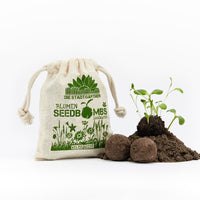 Seed bombs "Wild Meadow" in a jute bag - 54 native wildflower seeds — Ansicht 2