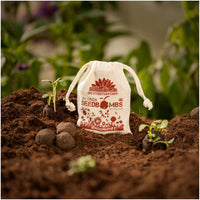 Bee Feast Seed Bombs – 38 Seed Varieties for Bees — Ansicht 1