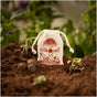Bee Feast Seed Bombs – 38 Seed Varieties for Bees
