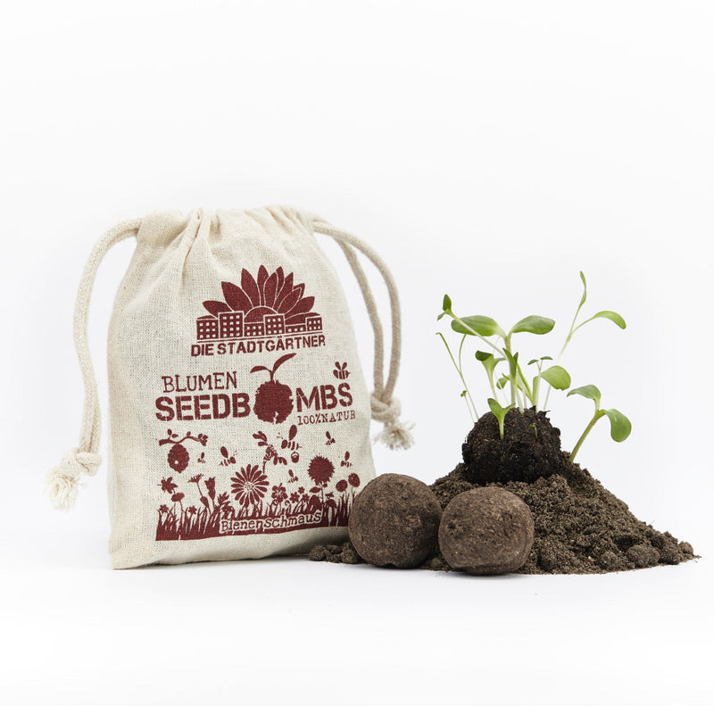 Bee Feast Seed Bombs – 38 Seed Varieties for Bees — Ansicht 2