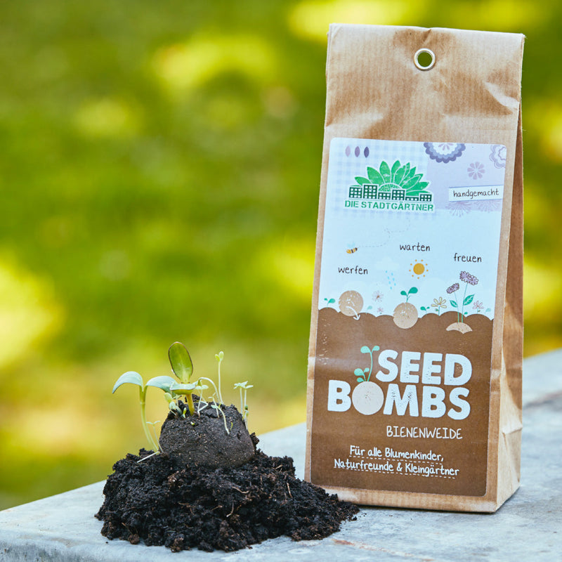 5 Seed Bombs Bee Pasture – handmade — Die Stadtgärtner