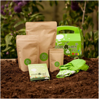 DIY-Set: Samenbomben-Bausatz – 50 Stück | Bienenfreundliche Saat | Mit Jutebeutel
