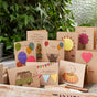 10 growing greeting cards per set - wildflower seeds with envelopes