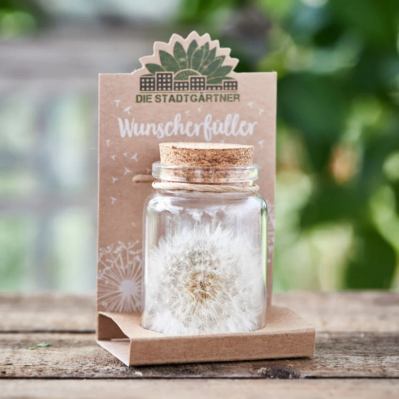 Großer Wunscherfüller – Pusteblume im Glas — Die Stadtgärtner
