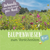 Patenschaft für 10 m² Blumenwiese zum Ausdrucken — Ansicht 1