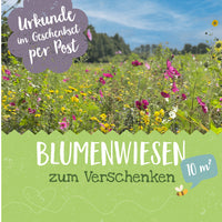 Blühpatenschafts-Geschenkset – Wildblumenwiese für 10 m² — Ansicht 3