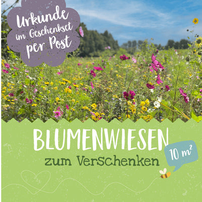 Blühpatenschafts-Geschenkset – Wildblumenwiese für 10 m²
