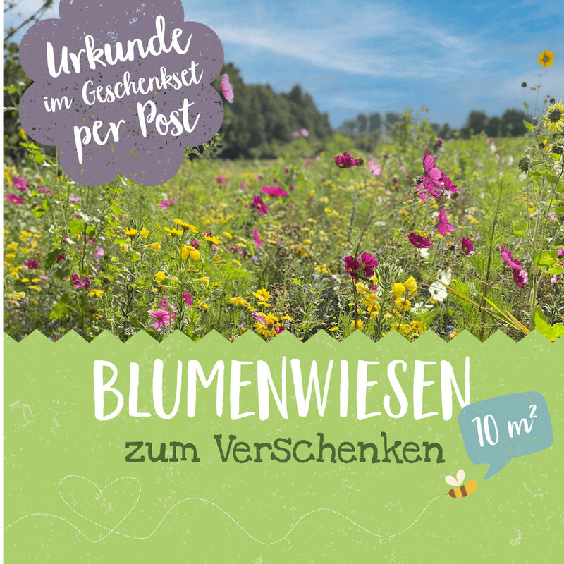 Blühpatenschafts-Geschenkset – Wildblumenwiese für 10 m² — Ansicht 3