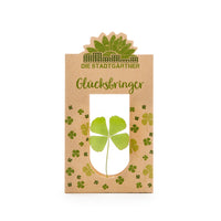 Glücksbringer – Echtes vierblättriges Kleeblatt in Glas — Ansicht 9