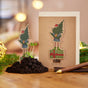 Weihnachtskarte „Mädchen mit Tannenbaum“ – Saatstecker mit Wildblumensamen