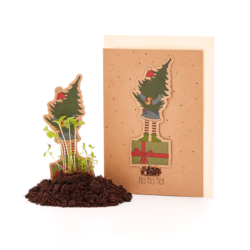 Weihnachtskarte „Mädchen mit Tannenbaum“ – Saatstecker mit Wildblumensamen — Ansicht 2