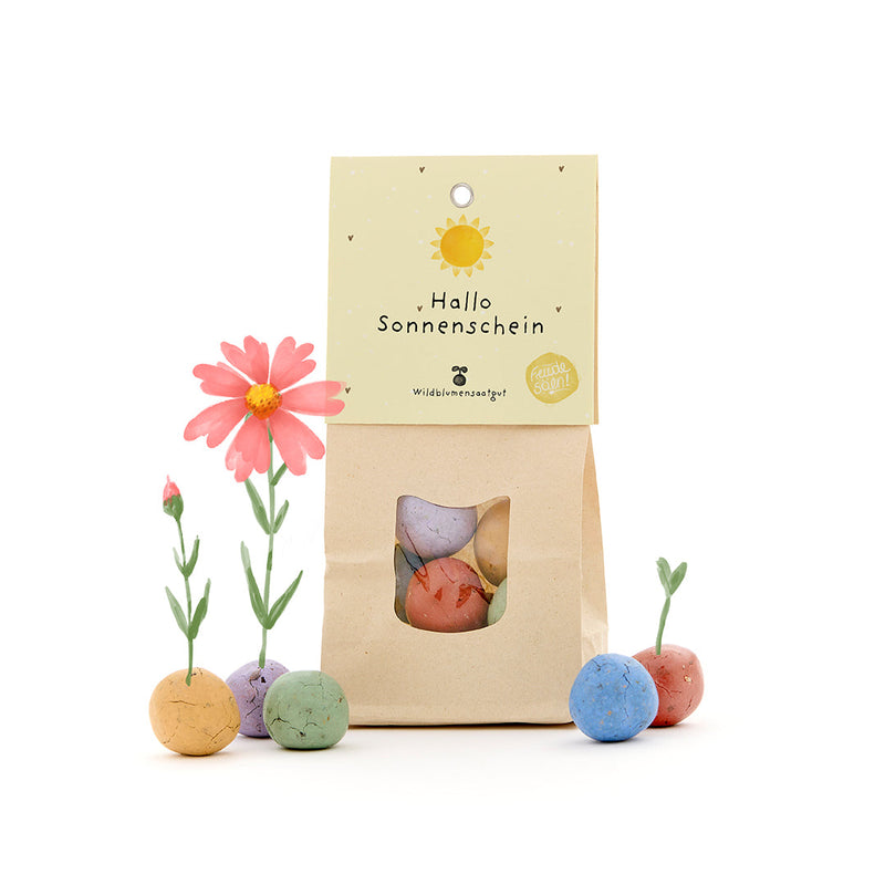 Hello Sunshine - Colourful Flower Marbles with 8 Wildflower Seed Balls — Die Stadtgärtner