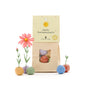 Hello Sunshine - Colourful Flower Marbles with 8 Wildflower Seed Balls