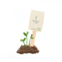 That doesn't interest me. The Bean – Seed Greeting ORGANIC with pole bean seeds