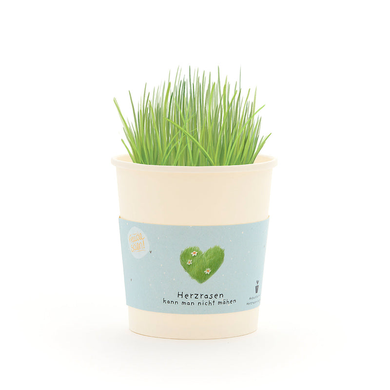 You can't mow a racing heart – cup seed kit with ryegrass — Die Stadtgärtner