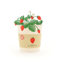 Du bist unentbeerlich - Erdbeeren-Anzuchtset mit Becher — Ansicht 1