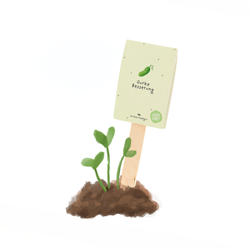 Cucumber Get Well Soon - Organic Seed Greeting by Die Stadtgärtner — Die Stadtgärtner