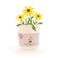 Chocolate Cosmos Cup - Growing Set with Seeds & Coco Coir Pellet — Ansicht 1