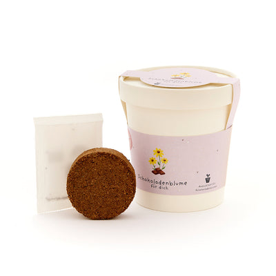 Chocolate Cosmos Cup - Growing Set with Seeds & Coco Coir Pellet