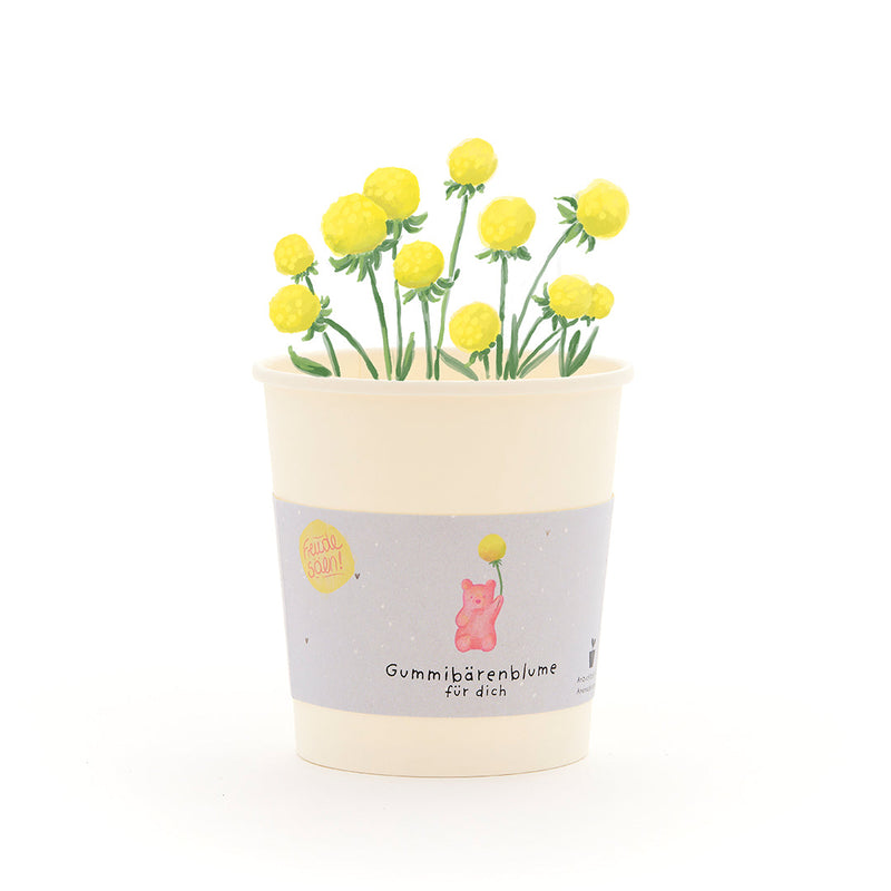 Gummibärenblume Anzuchtset – Becher mit Saatgut & Kokos-Quelltablette — Die Stadtgärtner
